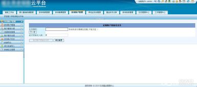 軟件開發與軟件定制 差異、應用與選擇指南